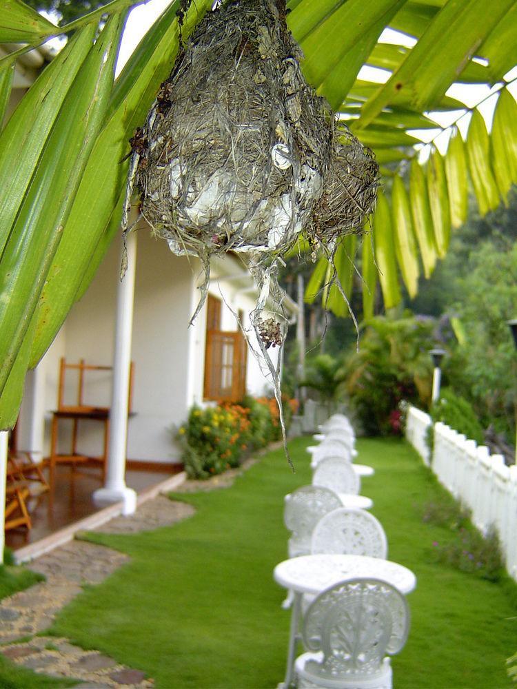 Water Garden Hotel Belihuloya Ngoại thất bức ảnh